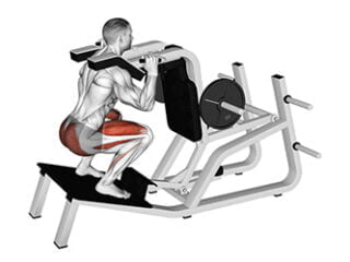 hack squat inverse se muscler les quadriceps