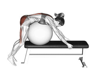 hyperextension inversee au Swiss ball exercice fessier