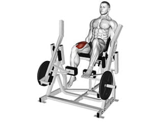 leg extension iso lateral unilateral exercice quadriceps