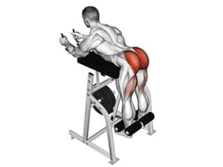 Reverse Hyperextension exercice fessiers