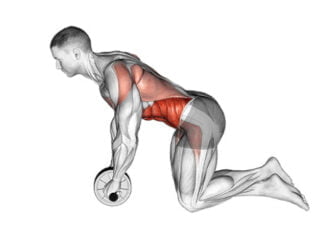 roulette abdominaux exercice