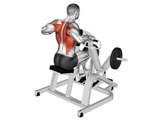 rowing assis machine prise pronation exercice muscle grand rond