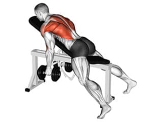 rowing halteres sur banc incline exercice dos