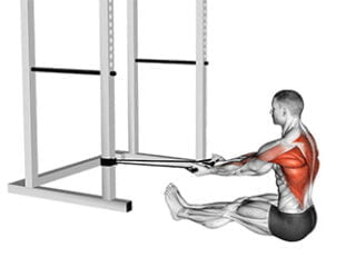 rowing horizontal avec elastique exercice dos