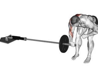rowing unilateral landmine exercice meadows row grand dorsal