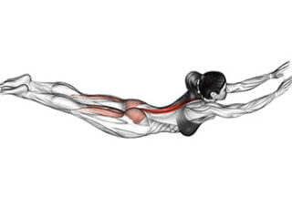 superman exercice dos