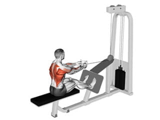 tirage horizontal a la poulie exercice dos