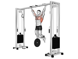 traction lestee exercice musculation dos