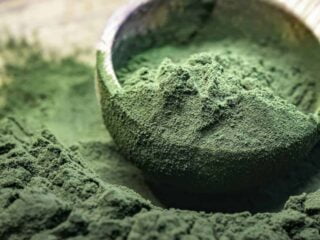 fer spiruline