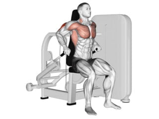 dips assis machine matrix exercice triceps brachial