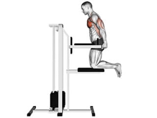 dips assistes a la machine exercice muscu triceps