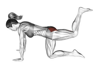 donkey kick exercice fessiers bombes