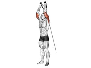 extension verticale triceps poulie basse exercice musculation