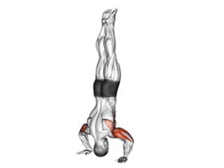 handstand push-up exercice epaule poids de corps