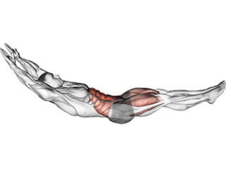 hollow hold exercice gainer abdominaux
