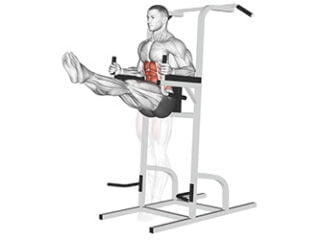 releve de jambes chaise romaine abdominaux exercice musculation