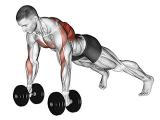 renegade row exercice muscul dos haltere