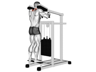 shrug a la machine a mollets exercice musculation