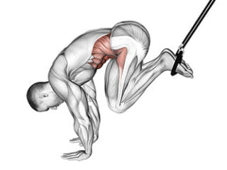 crunch avec sangle de suspension TRX exercice six pack