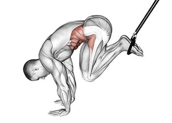 Sangles Abdominales Suspension - Pour Barre De Traction, Exercices Abdominaux