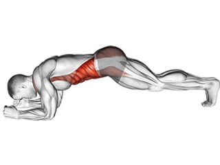 planche abdos gainage