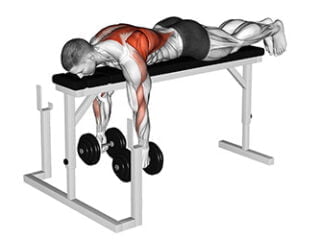 seal row avec halteres exercice dos halteres