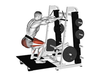 belt squat exercice jambes musculation