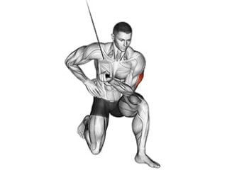 Extensions concentres des triceps a la poulie exercice muscu