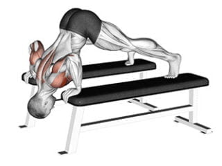 pike-push-up exercice epaules deltoides