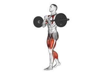 zercher carry exercice corps entier