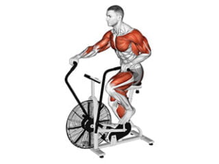 Assault Air Bike exercice cardio-training hiit
