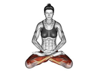 padmasana posture du lotus asana yoga