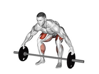 reeves deadlift exercice prise de masse