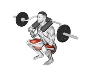 safety bar squat exercice jambes muscu