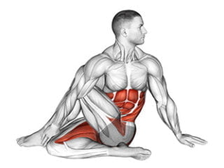 ardha matsyendrasana posture de la torsion assise asana yoga