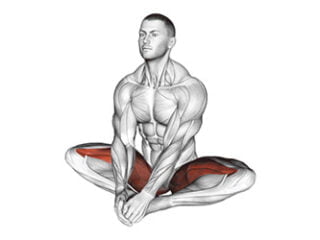 baddha konasana posture papillon asana yoga