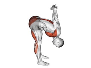 dandayamana mudrasana posture du sceau du yoga debout asana