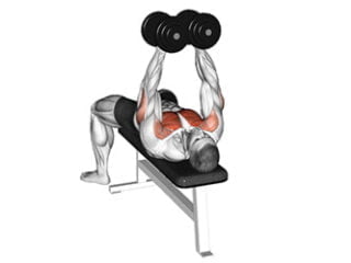 developpe couche serre avec halteres milieu pectoraux