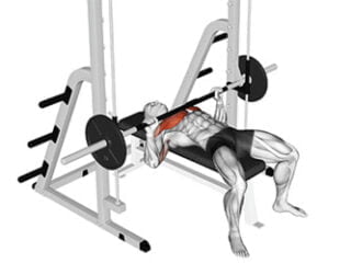 developpe couche a la Smith machine musculation debutant