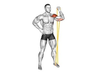 developpe epaule unilateral avec elastique exercice musculation