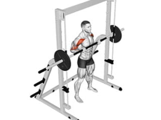 drag curl smith machine exercice biceps brachial