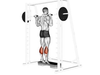 extensions des mollets debout a la Smith machine exercice gros soleaire