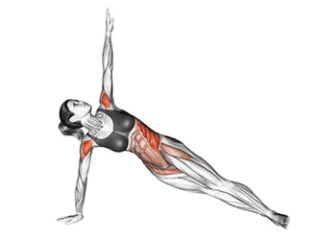 planche laterale avec rotation exercice obliques dynamique