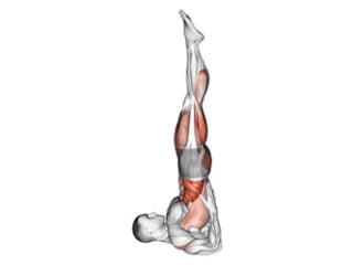 salamba sarvangasana posture de la chandelle asana yoga
