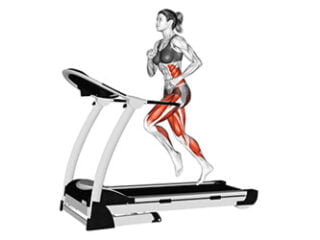 tapis de course cardio perdre du poids
