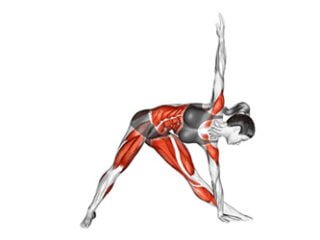 trikonasana posture du triangle en extension asana yoga