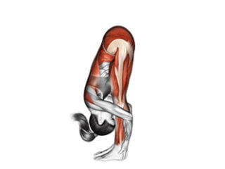 Uttanasana posture de la cigogne asana yoga