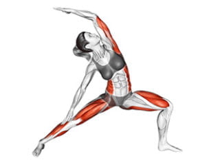 viparita virabhadrasana posture inversee du guerrier asana yoga