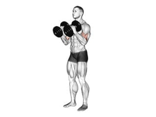 curl haltere prise neutre exercice biceps enorme