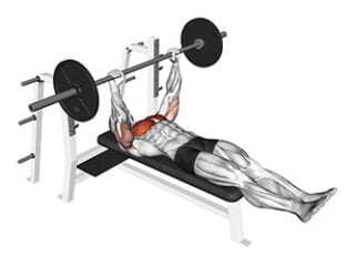 developpe couche larsen exercice pectoraux salle de sport